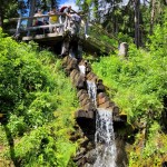 Bisse des Ravines à Bruson